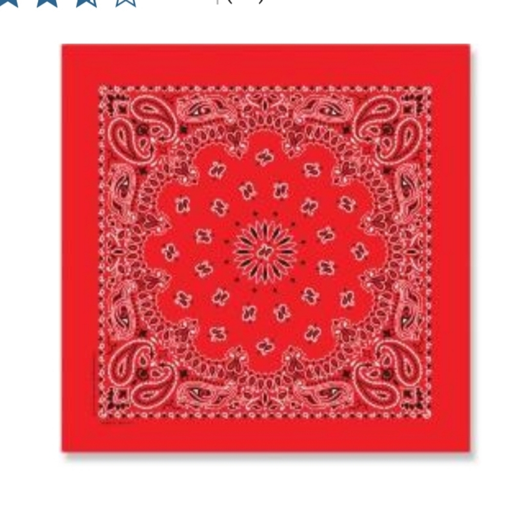 Dozen Red Paisley Bandanas